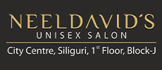NeelDavid's Salon